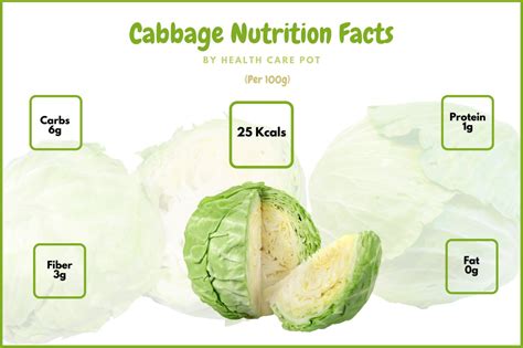 100G Cabbage Nutrition Facts And Benefits By Health Care Pot