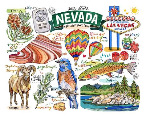 Nevada State Print. State Symbols. Illustration. State Art. - Etsy | State symbols, Travel art ...