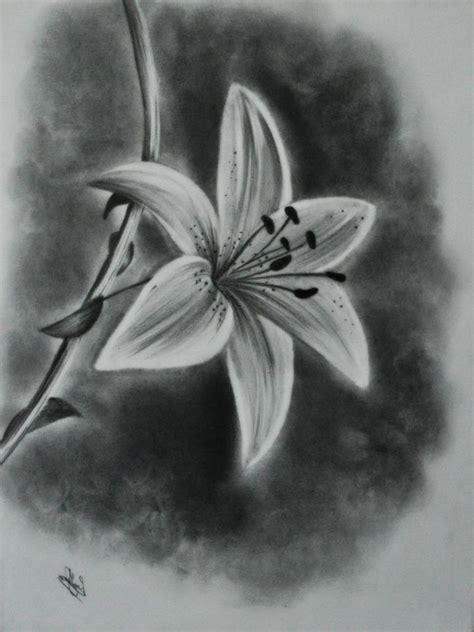 How To Sketch Flowers With Pencil at Drawing Tutorials