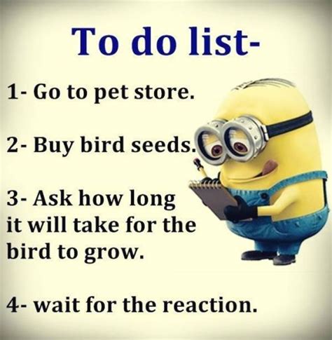 Funny Minion Quotes Of The Week | Minions funny, Funny minion quotes, Funny minion memes