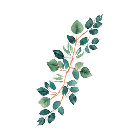 Watercolor Leaves on a Vine · Creative Fabrica