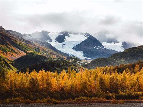 Travel Alaska - Fall colors | Alaska travel, Alaska, Tongass national ...