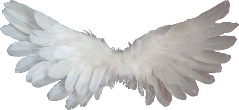 Angel Wings Free Clipart Images Angel Wings Transparent Background Free ...