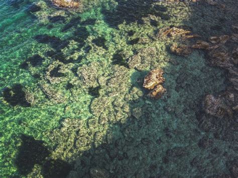 Drone View of Coral Reef · Free Stock Photo