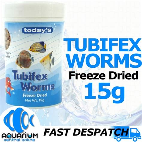 Aquarium Central -Todays Tubifex Worms 15g - Aquarium Central