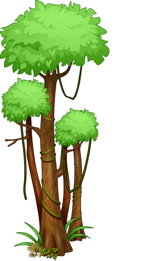 jungle trees clipart 10 free Cliparts | Download images on Clipground 2024