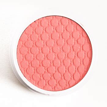 Best Coral Blushes Under $20