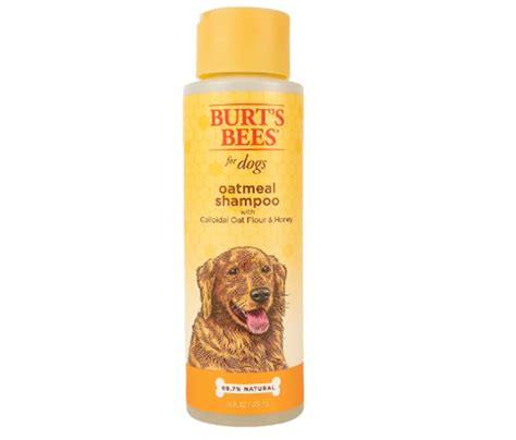 The best dog shampoos, according to experts