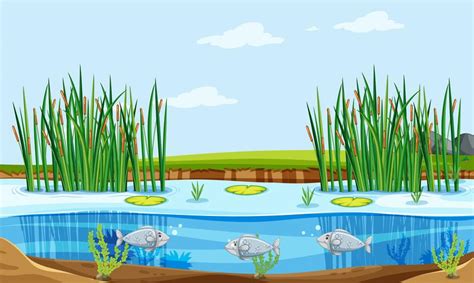 fish in pond clipart 10 free Cliparts | Download images on Clipground 2022