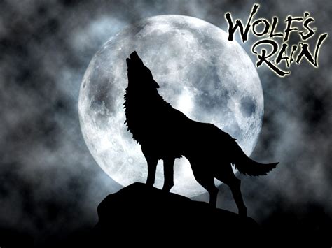 Wolf Howling At The Moon Wallpaper - WallpaperSafari