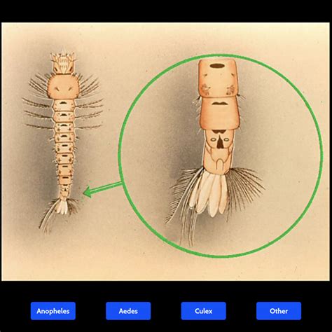 Mosquito Community Challenge Campaign