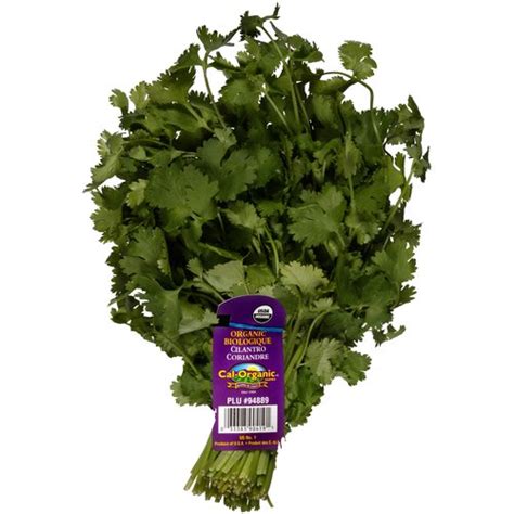 Cal-Organic Farms Organic Cilantro, Bunch - Foodland