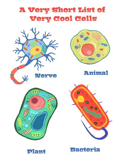 Science Art Print Cell Biology Painting by LittleTruthsStudio