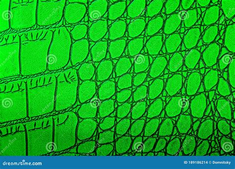 Green Crocodile Skin Texture Background. Alligator Skin Stock Photo - Image of dark, background ...