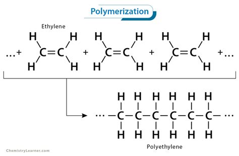 Polymerization: Definition, Types, And Examples, 48% OFF