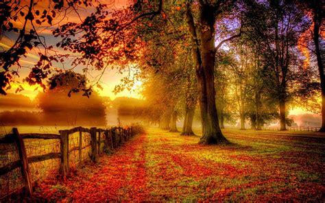 Autumn Sunset Wallpapers - Top Free Autumn Sunset Backgrounds - WallpaperAccess