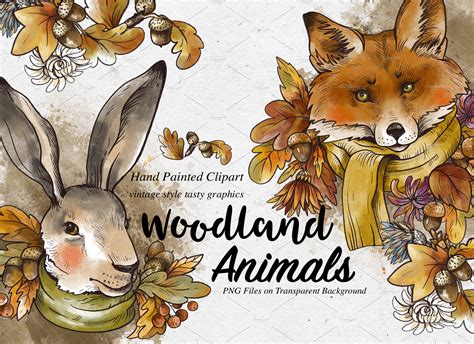 Fall animals clipart | Animal Illustrations ~ Creative Market