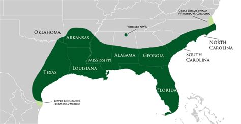 American Alligator Habitat Map