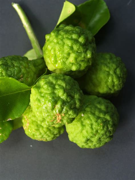 Bergamot fruit photo 2242686 Stock Photo at Vecteezy