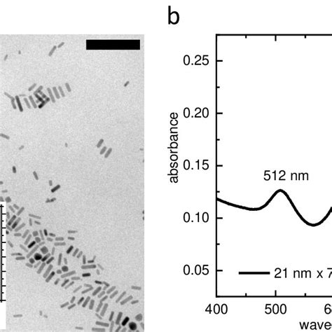 Characterization of the gold nanorods. (a) TEM image of gold nanorods.... | Download Scientific ...