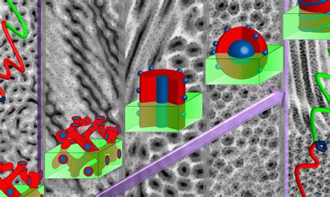 Living Anionic Polymerization – A Powerful Method - Advanced Science News