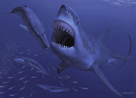 Otodus megalodon: The Jaws of Death - Darwin's Door