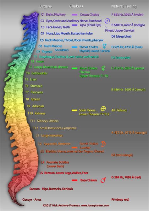 sound frequency chart hz healing @fladream said: is that a sort of music...