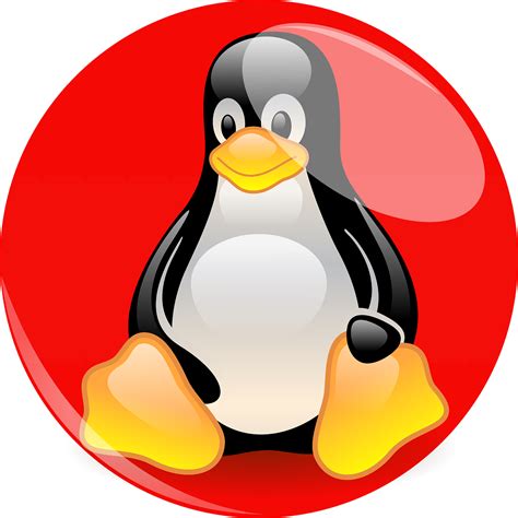 Linux Penguin Logo