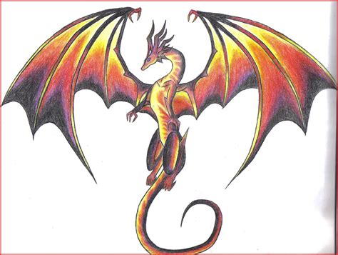 Cool Dragon Drawings : FREE 21+ Realistic Dragon Drawings in AI / Coloring pages dragons dragon ...