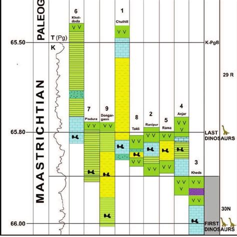 Sections showing different late Cretaceous (Maastrichtian) dinosaurs... | Download Scientific ...