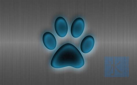 Rainbow Paws Wallpapers - Wallpaper Cave