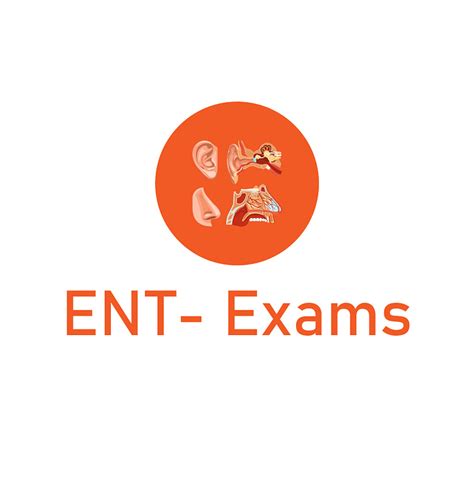 ent logo by MD Billal on Dribbble