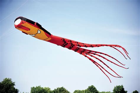 Giant kites take to the skies | Sedalia Democrat