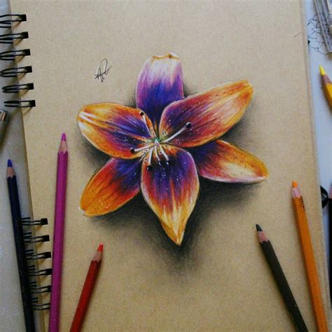 A flower in color pencil #Art made by Elia Pellegrini from #Italy (📷 ...