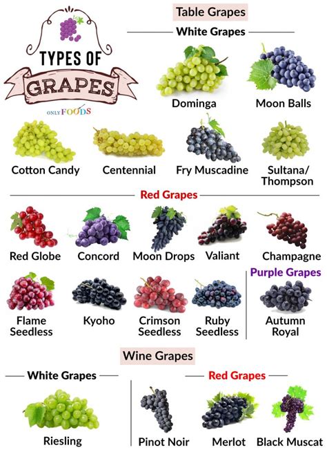 Grape Types Chart