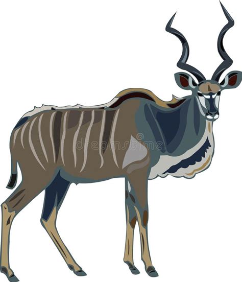 150+ Antelope kudu Free Stock Photos - StockFreeImages