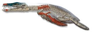 Species New to Science: [Paleontology • 2008] Enormous ‘Sea Monster ...