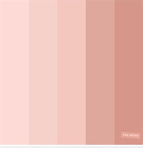 neutral blush color palette - Broad-Based Log-Book Image Bank