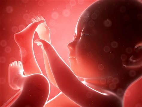 Virtual Reality and 3D Printing Preview Baby in the Womb