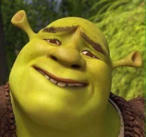 Shrek Meme Face Discover more interesting Animation, Anime, Animeted ...