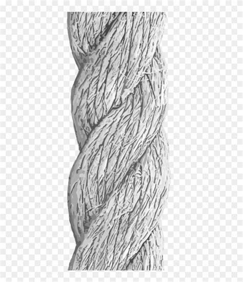 Detailed By Nellems - Rope Texture Drawing, HD Png Download - 894x894 ...