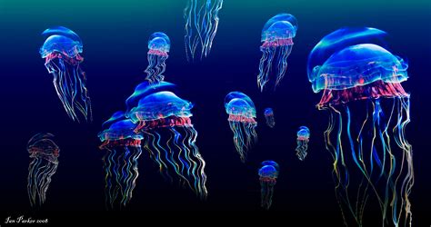 Animated Jellyfish Wallpaper - WallpaperSafari