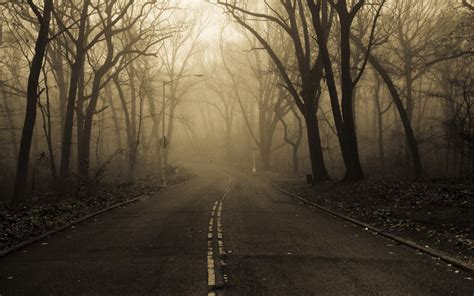 Creepy Forest Wallpaper (66+ images)