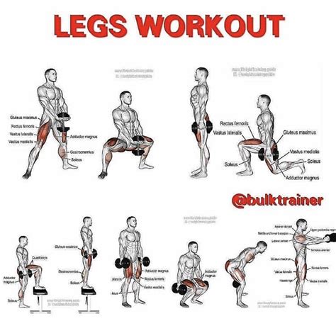 Bulktrainer's Leg Day Workout