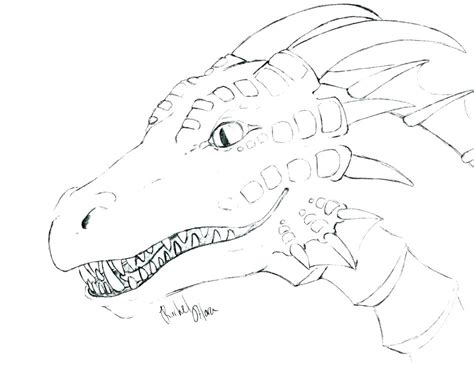 Sea Dragon Coloring Pages at GetDrawings | Free download