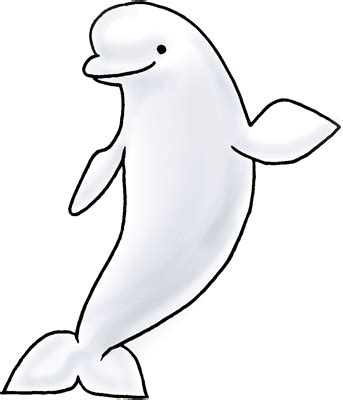 Free Beluga Whale Cliparts, Download Free Beluga Whale Cliparts png ...