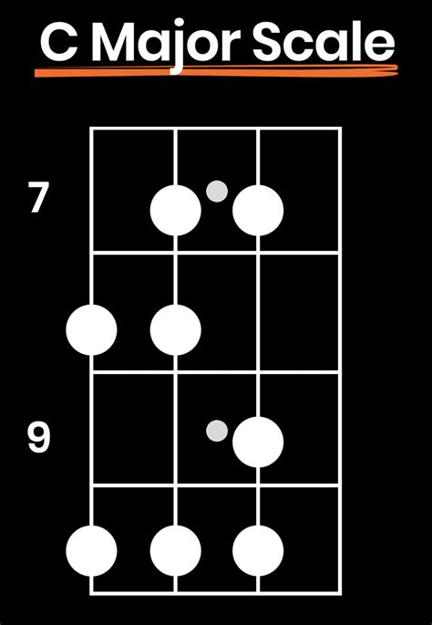 How to Learn Bass Scales (Become a Better Bassist, Not a Robot ...