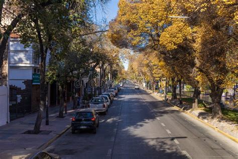 View of the Streets of the City of Mendoza. Argentina Editorial Photo - Image of panorama ...