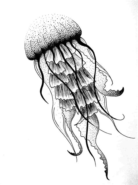 Simple Jellyfish Drawing at PaintingValley.com | Explore collection of Simple Jellyfish Drawing