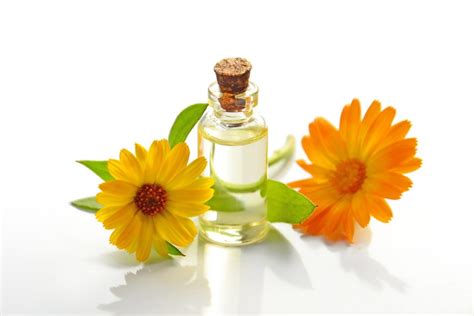 Bergamot Oil History and Therapeutic Applications – Organic Simply